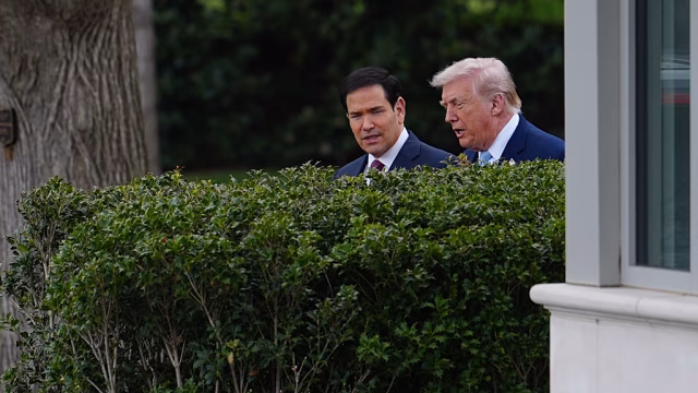 rubio