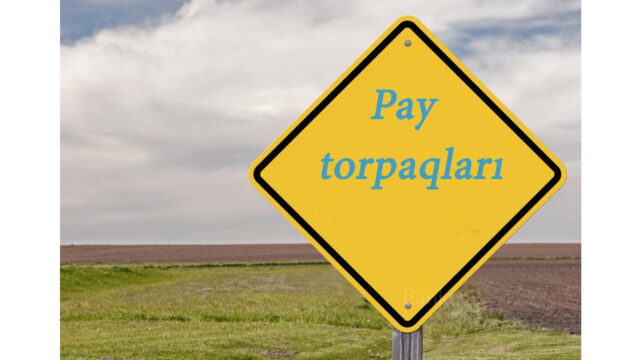 torpaq
