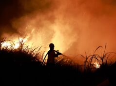 “Super El Nino” yaxınlaşır: daşqınlar, yanğınlar və ərzaq çatışmazlığı artacaq