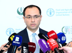 Nazir ətin qiymətinin sabitləşəcəyini vəd edir. Yeni aqrar hədəflər nə dərəcədə realdır?