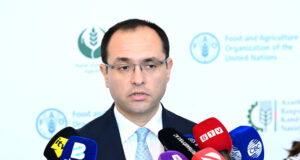 Nazir ətin qiymətinin sabitləşəcəyini vəd edir. Yeni aqrar hədəflər nə dərəcədə realdır?